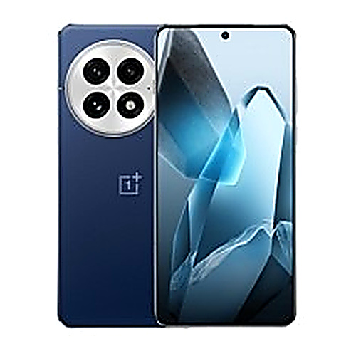 OnePlus 13